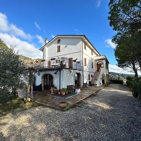 Casa Vacanze Cristina - Holiday House Apartment Ripatransone Bagian luar foto