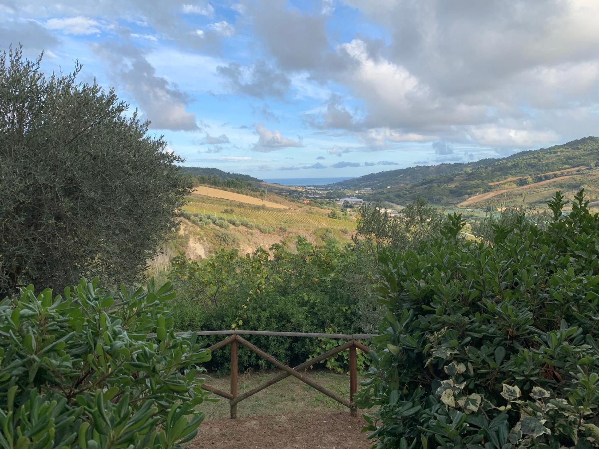 Casa Vacanze Cristina - Holiday House Apartment Ripatransone Bagian luar foto