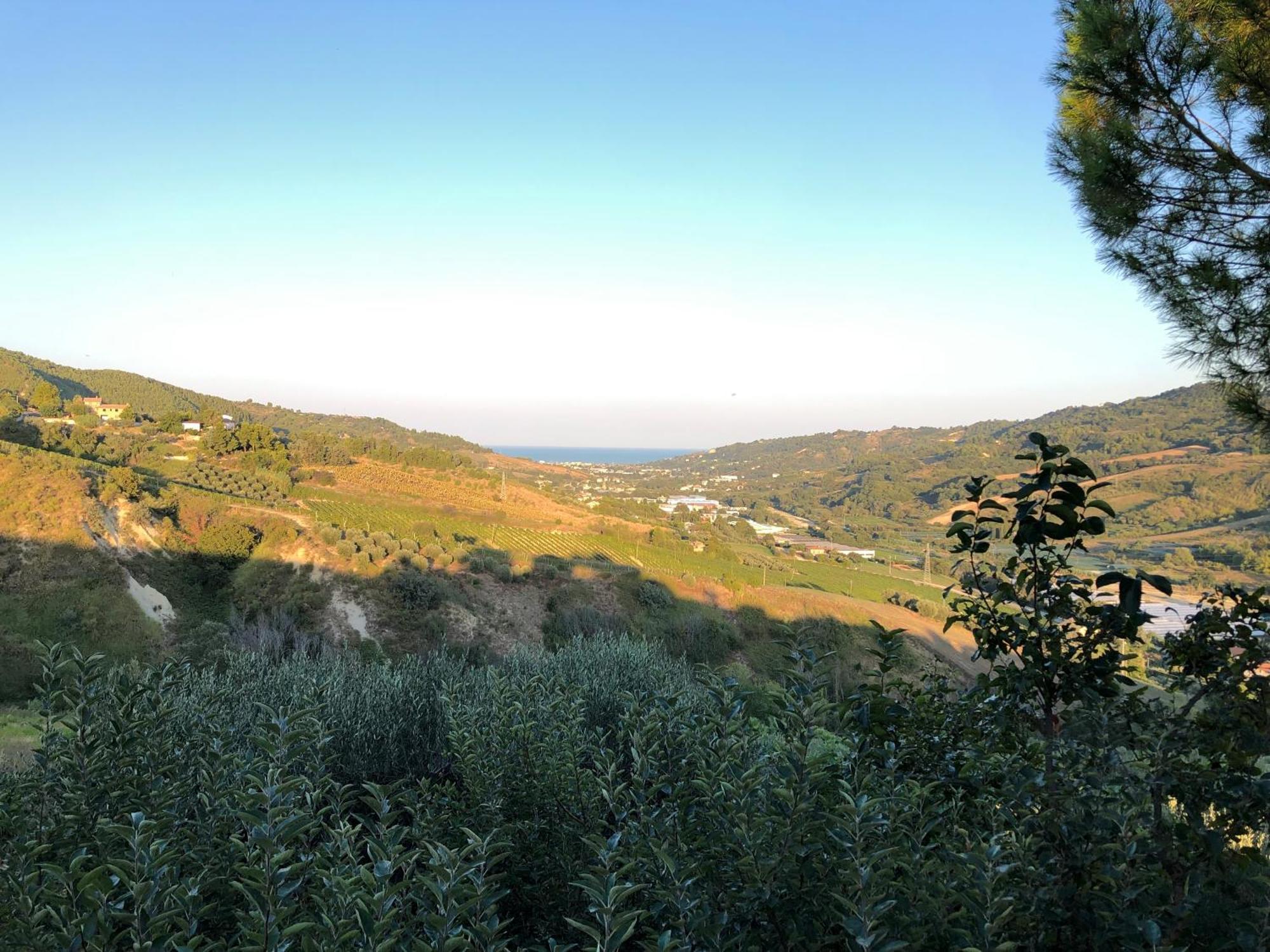 Casa Vacanze Cristina - Holiday House Apartment Ripatransone Bagian luar foto